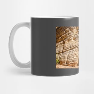 Lick Wash Trail Hike Mug